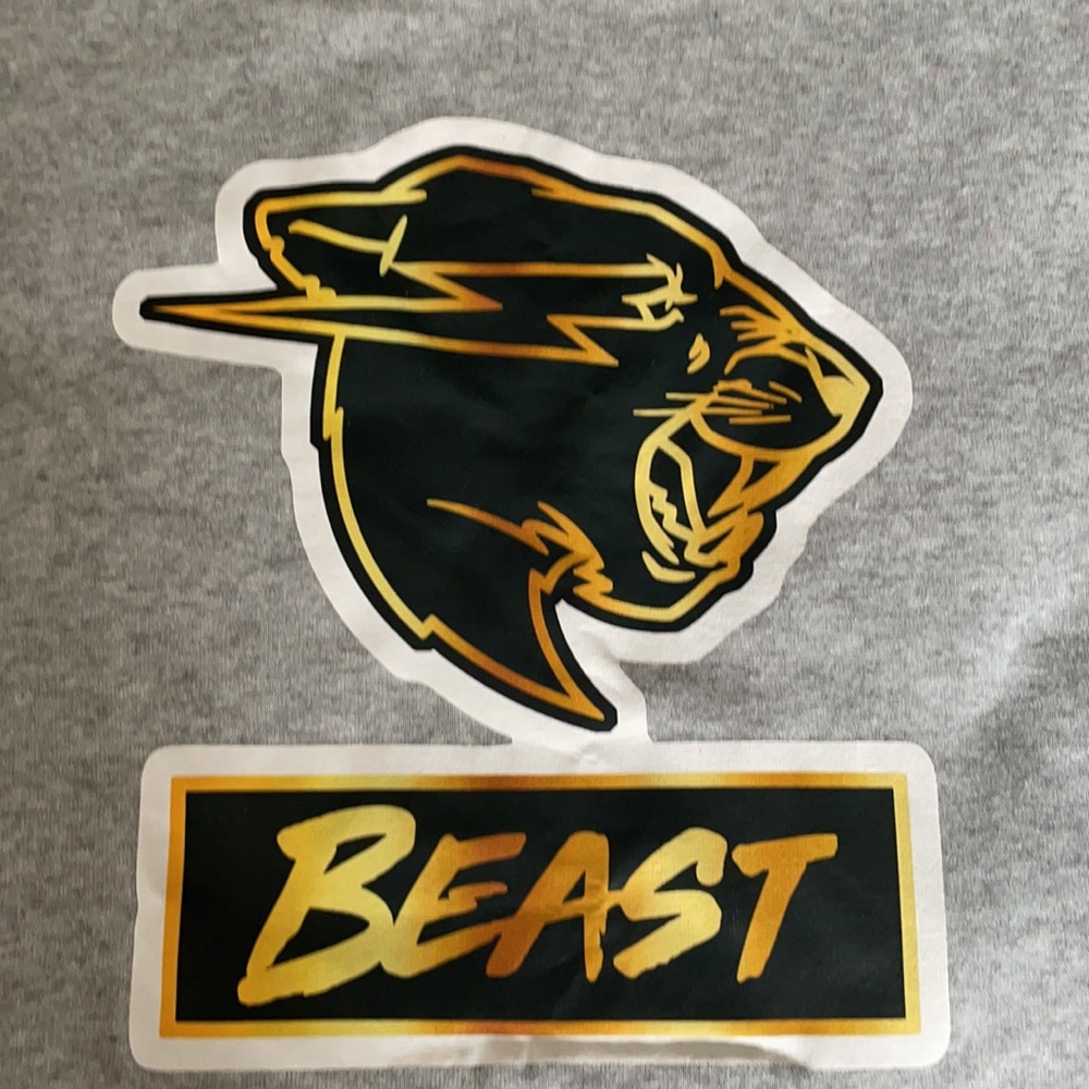Mr. Beast Crop Hoodie!